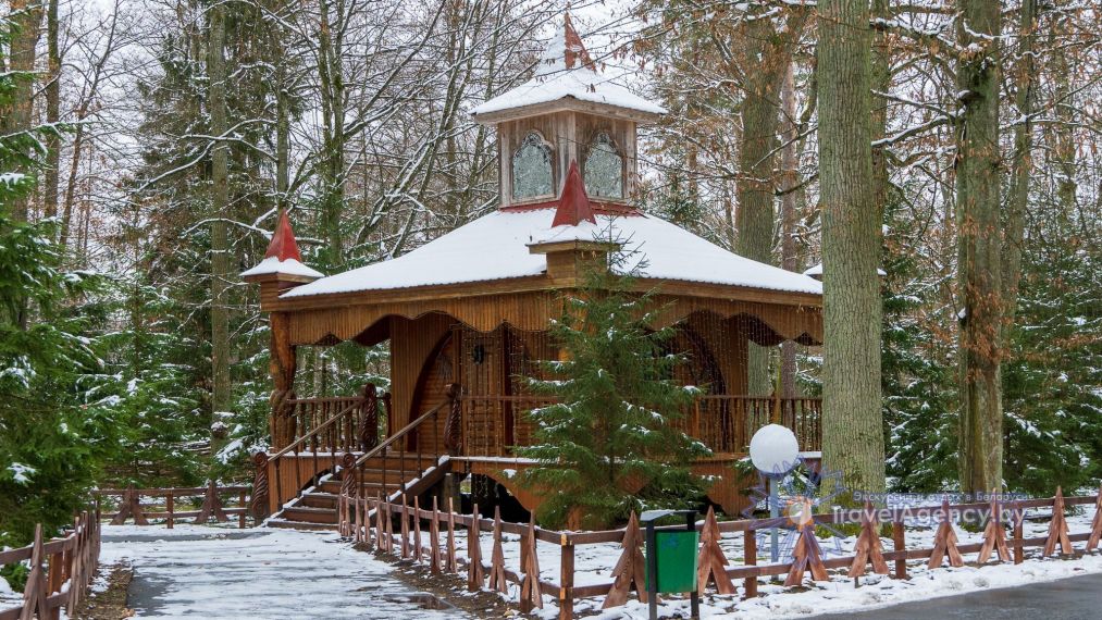Поездка к Деду Морозу в Беловежскую пущу фото 